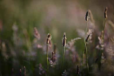 低配版黑神话悟空《吴之冠》发布新预告